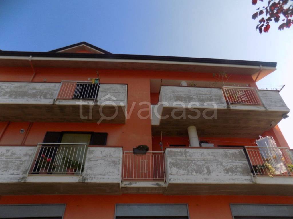 immagine annuncio 3 di 11
