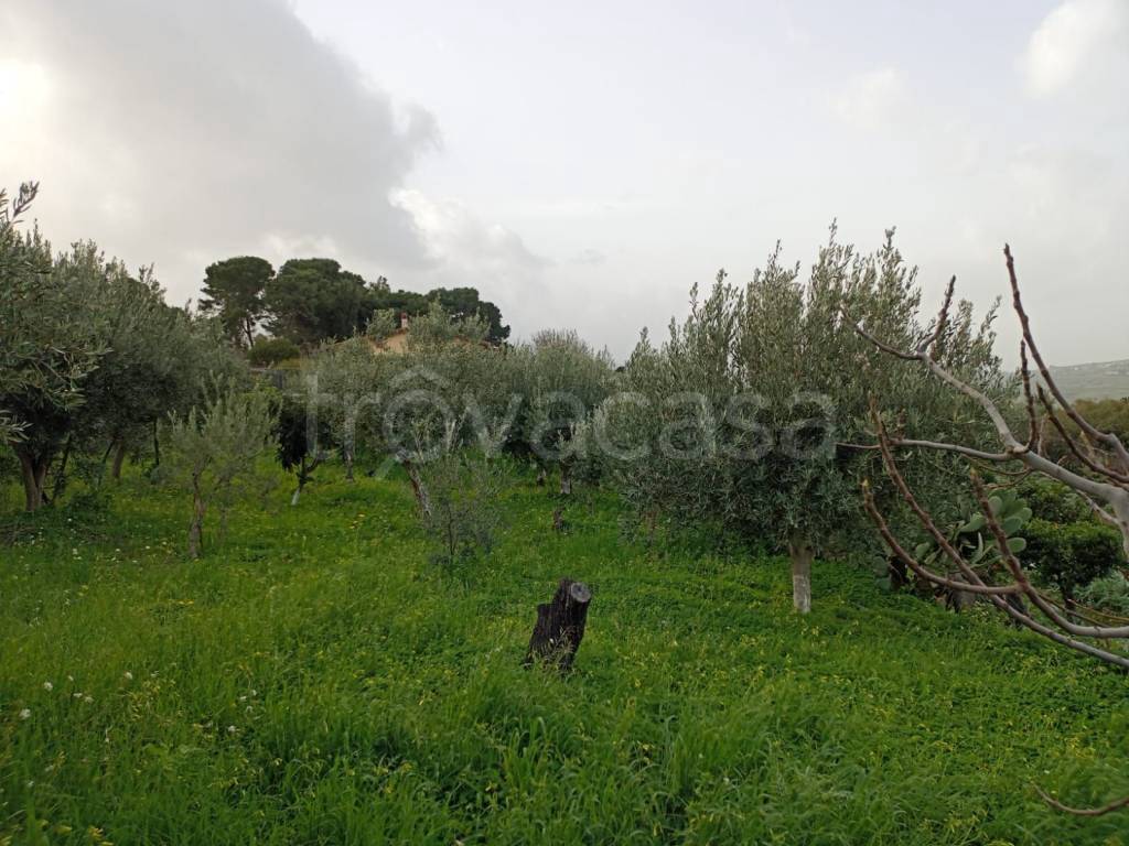 immagine annuncio 7 di 14