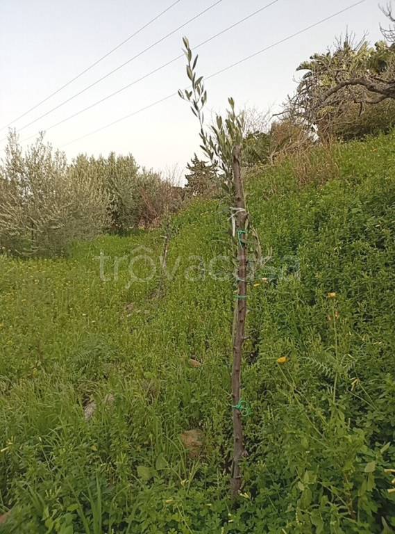 immagine annuncio 8 di 14