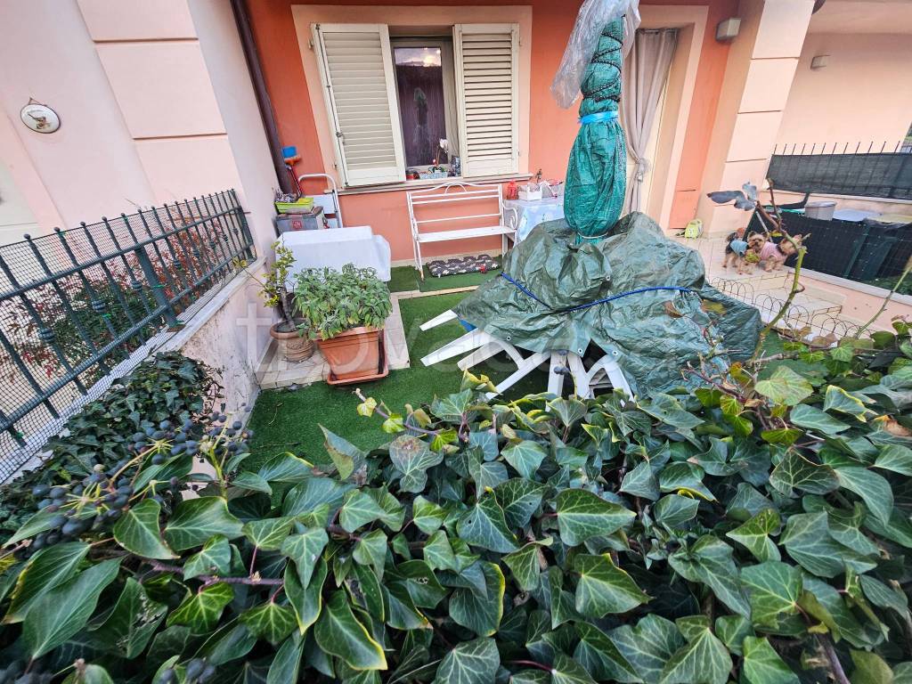 immagine annuncio 3 di 15