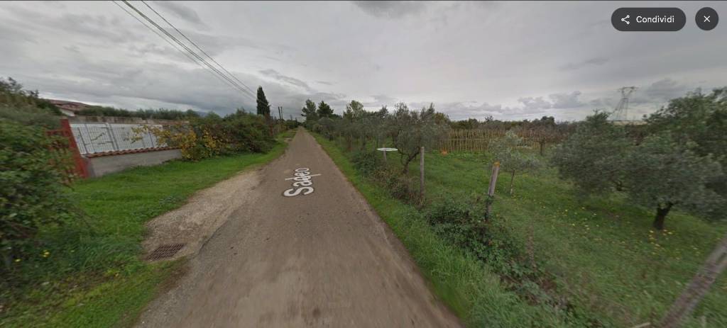 immagine annuncio 2 di 14