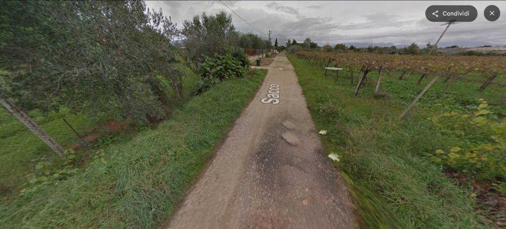 immagine annuncio 10 di 14