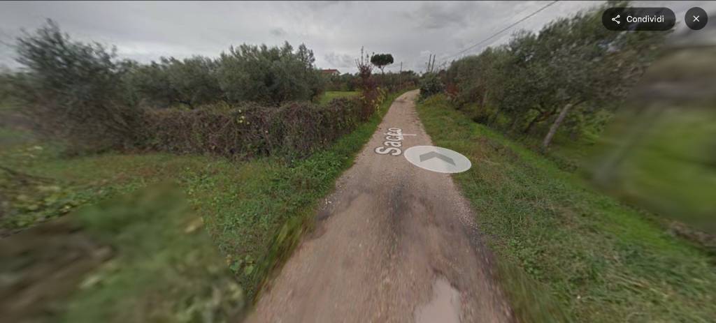 immagine annuncio 11 di 14