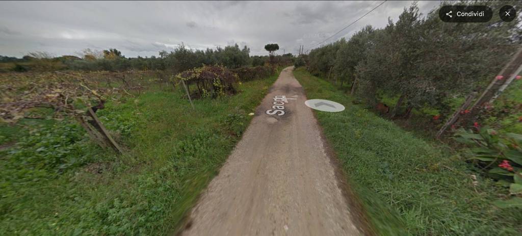 immagine annuncio 12 di 14
