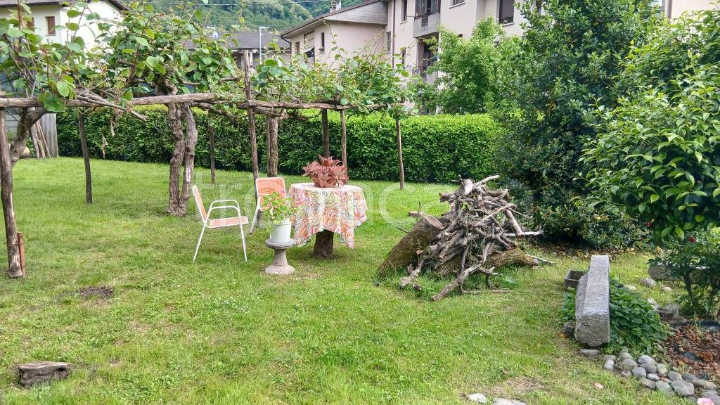 immagine annuncio 4 di 15