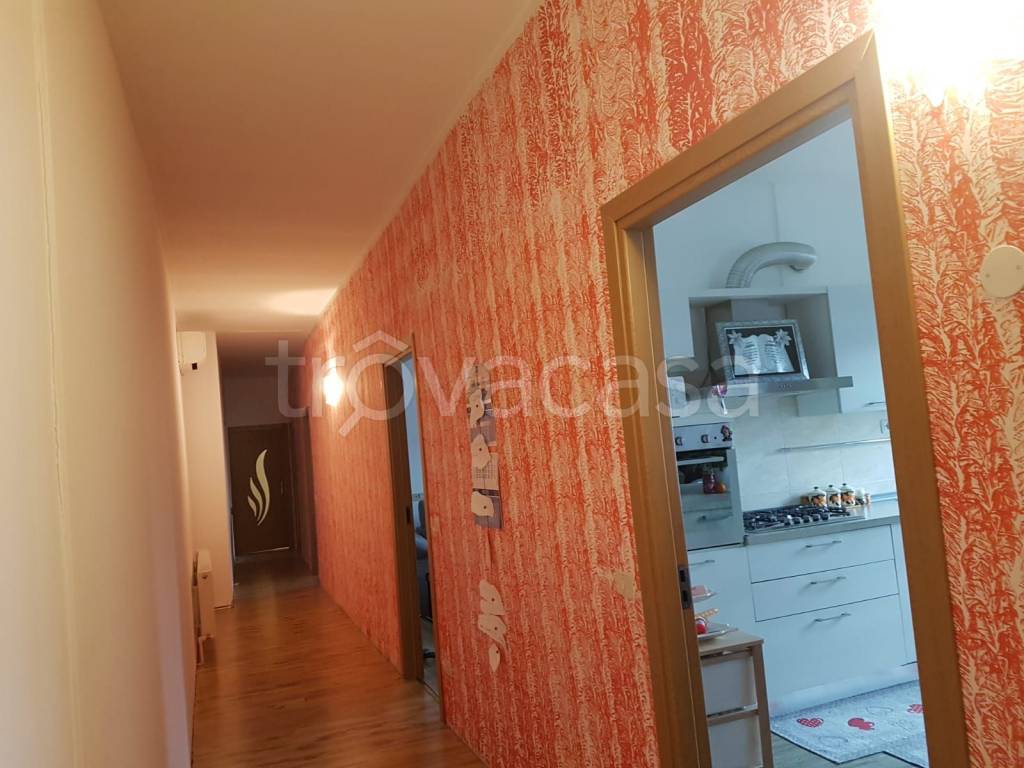 immagine annuncio 7 di 12