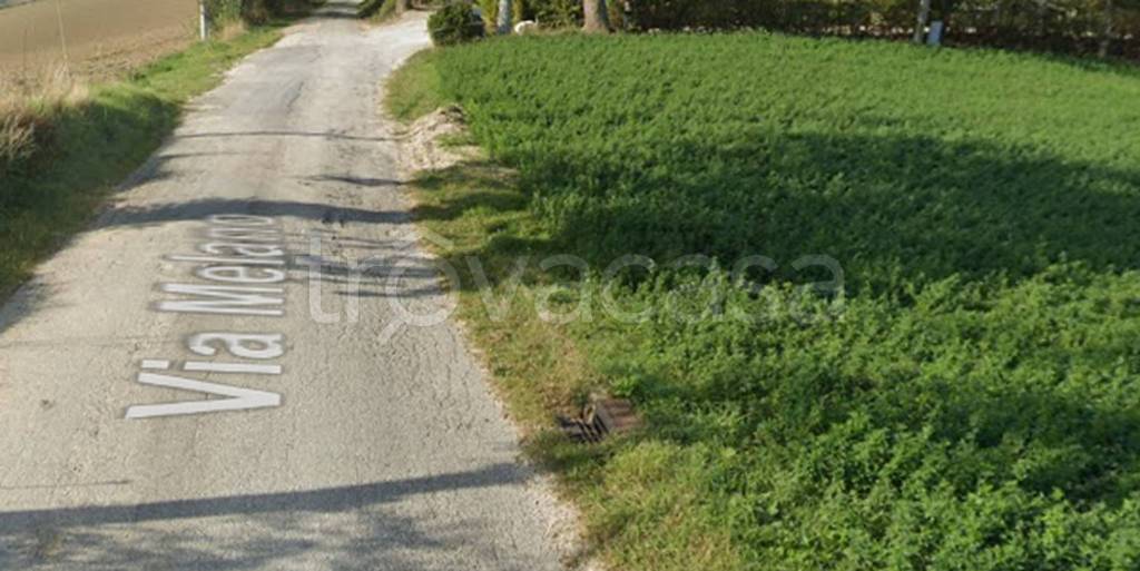 immagine annuncio 3 di 12