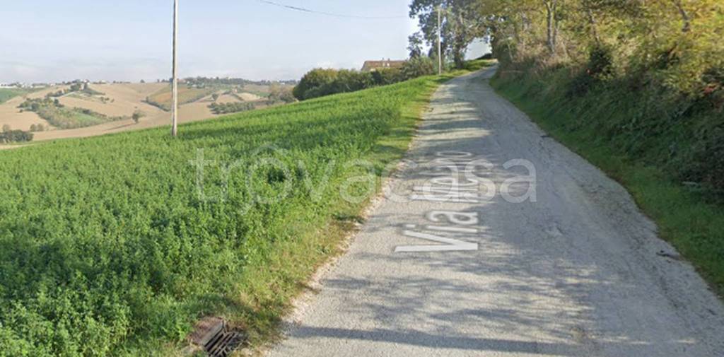 immagine annuncio 9 di 12