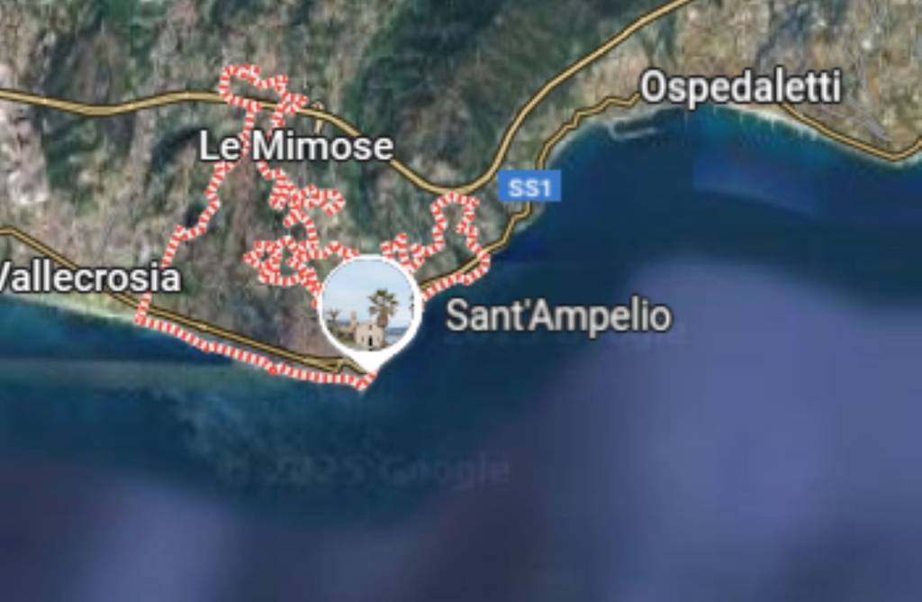 immagine annuncio 1 di 11