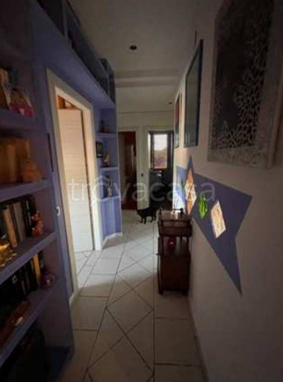 immagine annuncio 6 di 14
