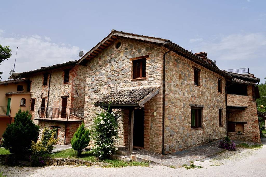 immagine annuncio 2 di 9