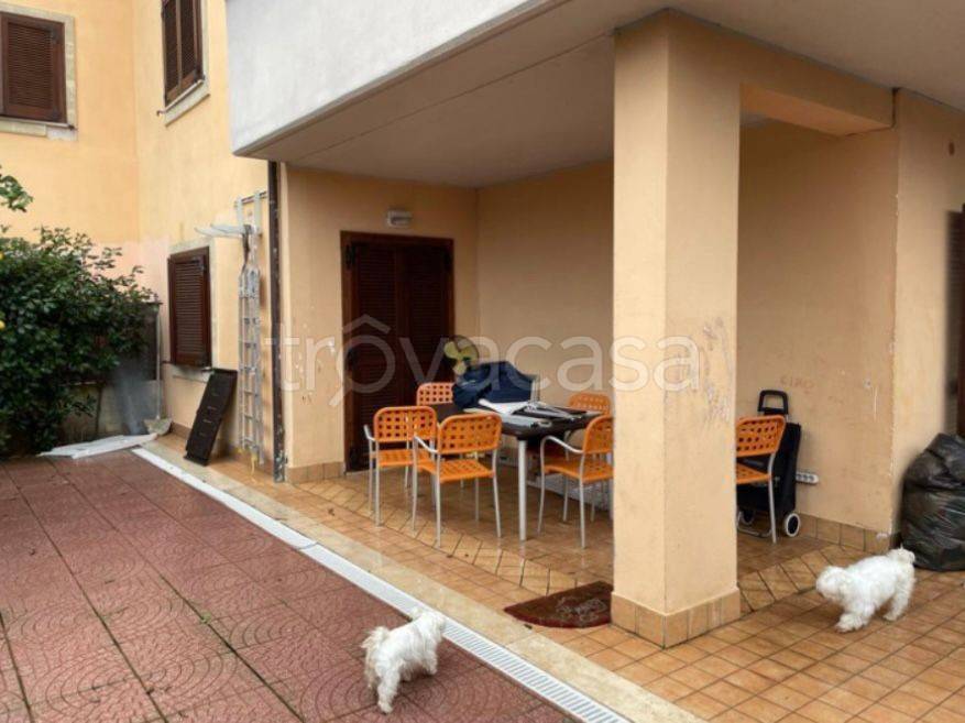 immagine annuncio 9 di 13
