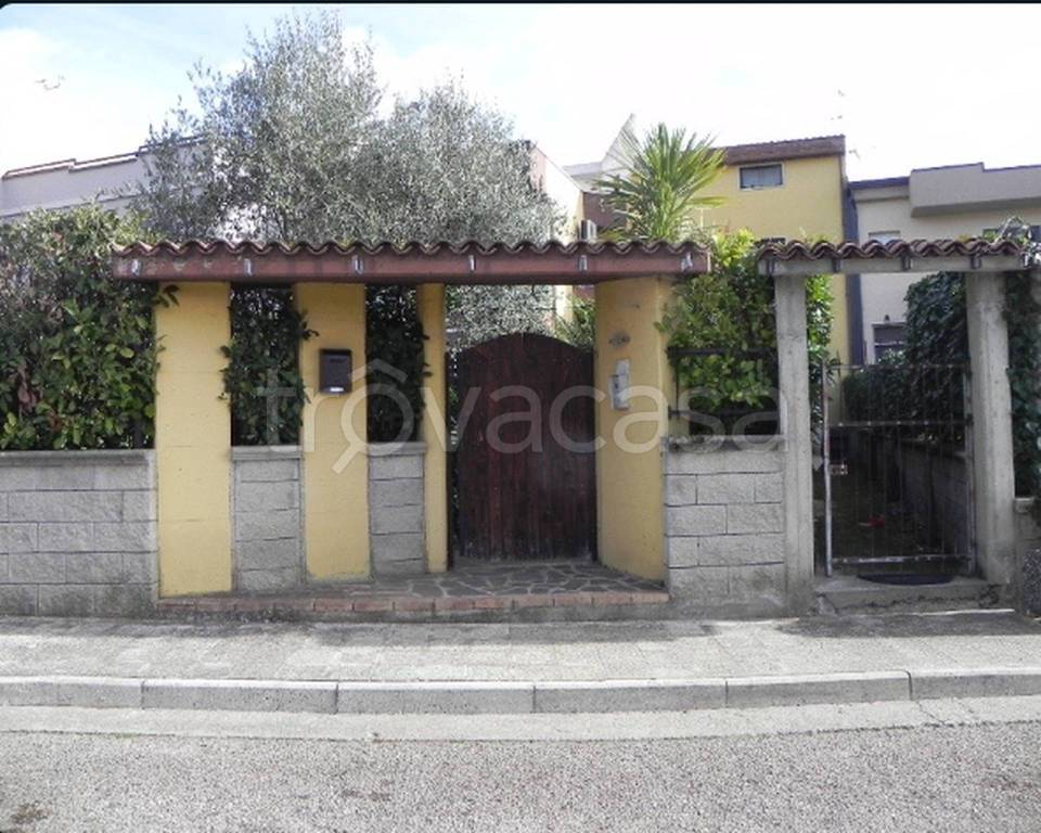 immagine annuncio 7 di 13