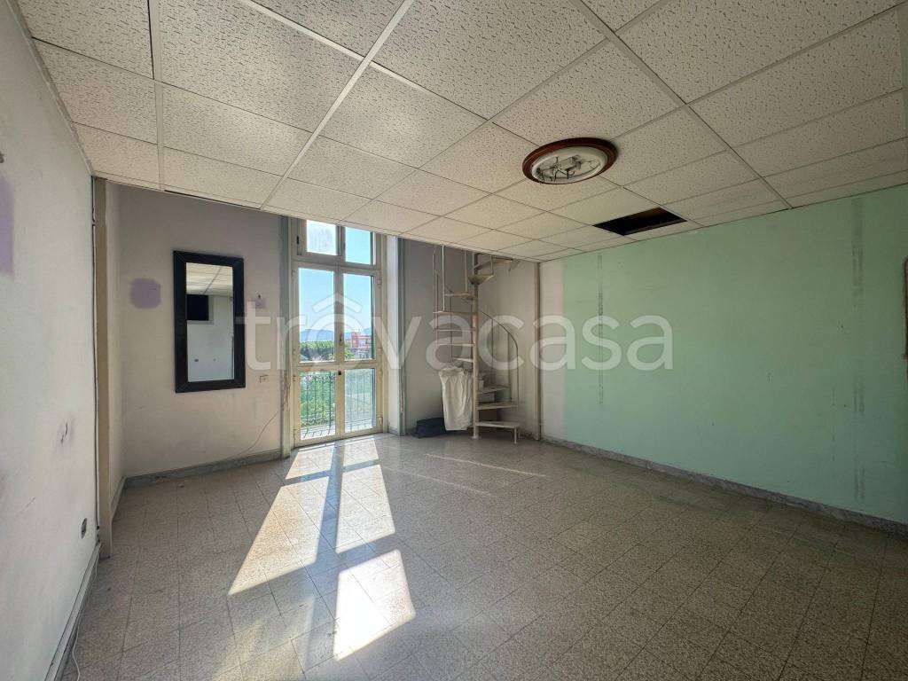 immagine annuncio 12 di 14