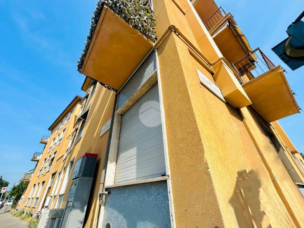 immagine annuncio 10 di 14