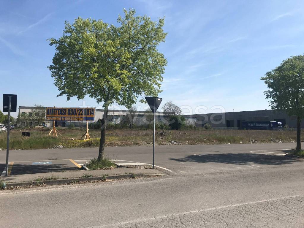 immagine annuncio 5 di 12