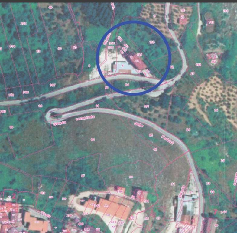 immagine annuncio 7 di 11