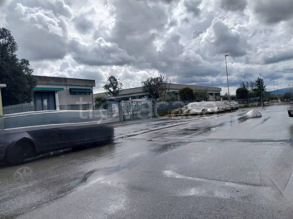 immagine annuncio 1 di 4