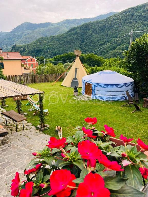 immagine annuncio 2 di 9