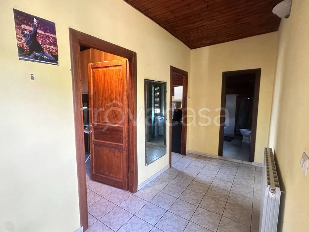 immagine annuncio 4 di 14