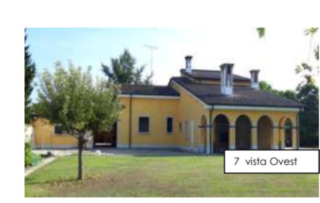 immagine annuncio 5 di 11