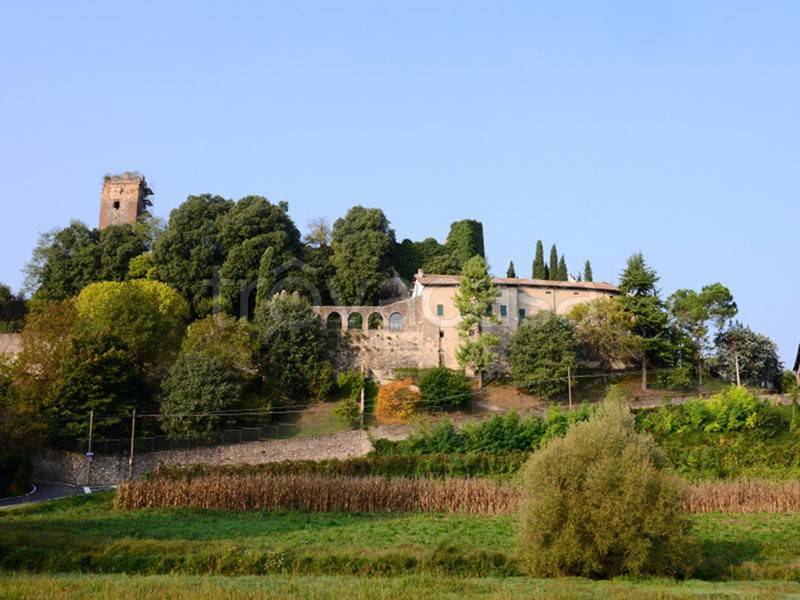 immagine annuncio 14 di 15