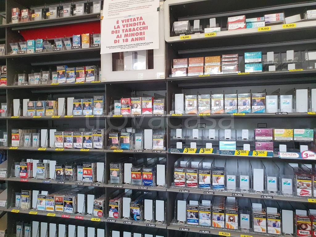 immagine annuncio 3 di 10