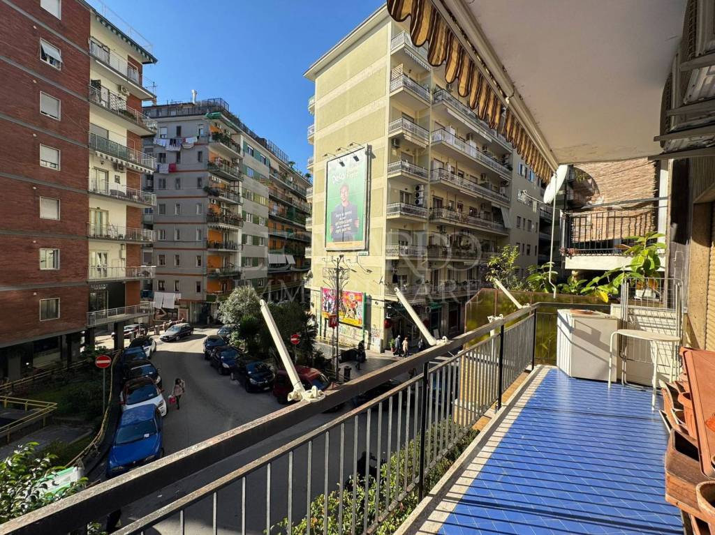 immagine annuncio 3 di 14