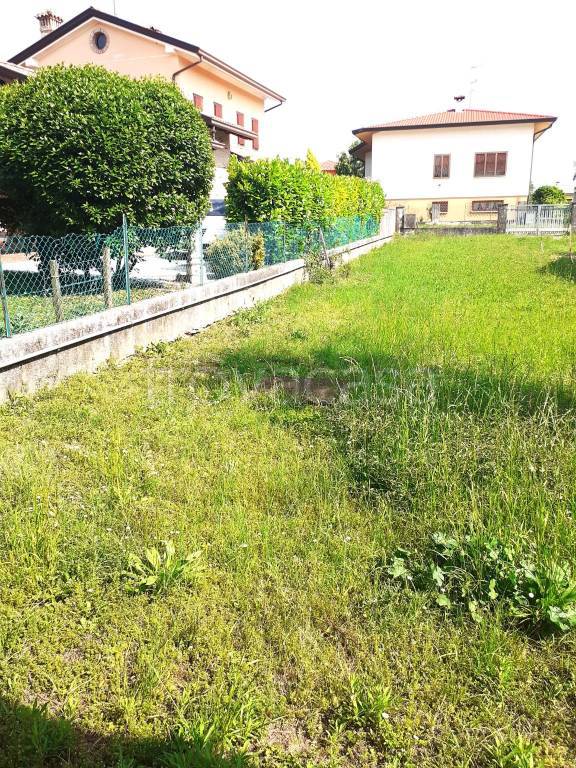 immagine annuncio 11 di 12