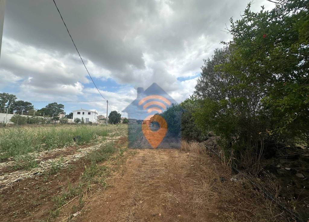 immagine annuncio 5 di 8