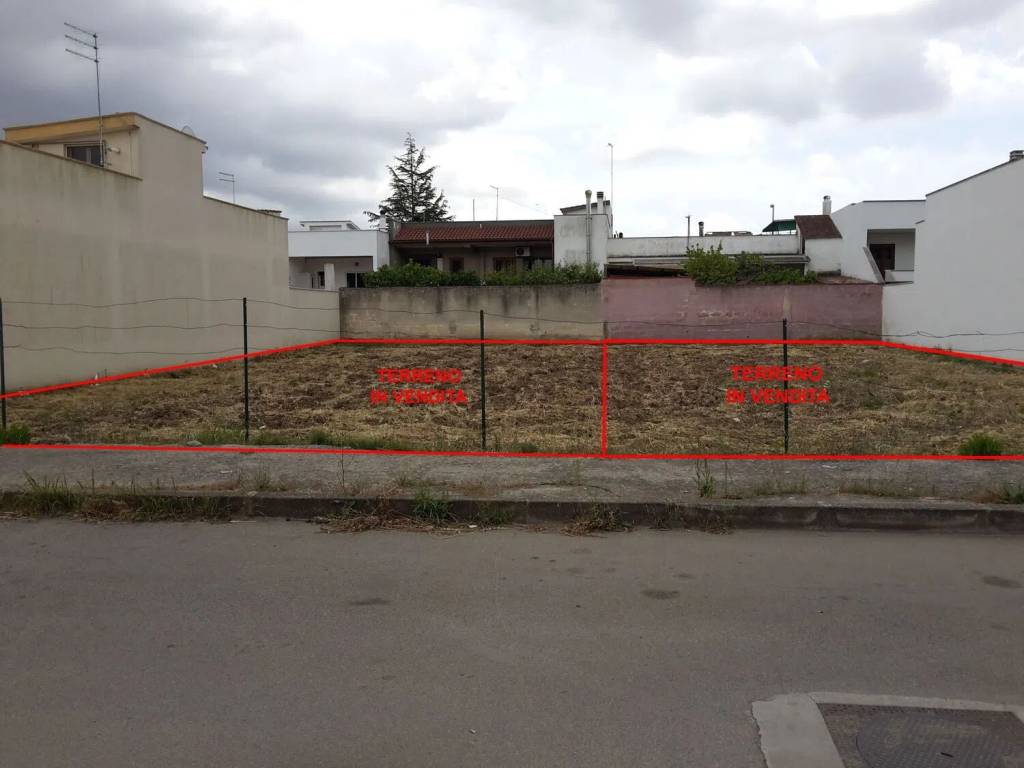 immagine annuncio 1 di 2