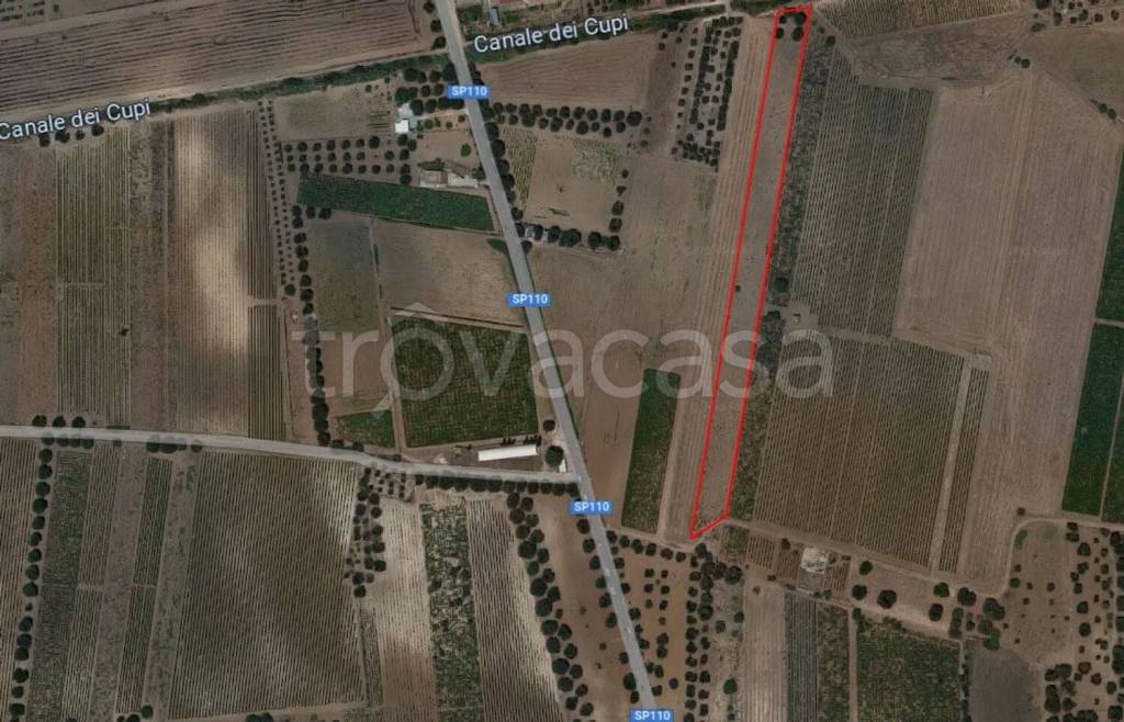 immagine annuncio 1 di 2
