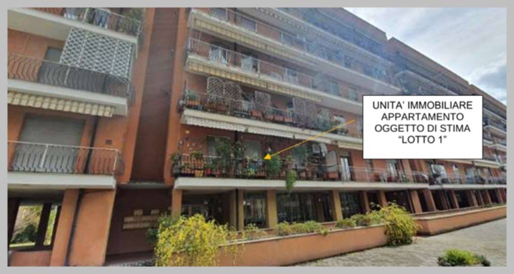 immagine annuncio 12 di 15