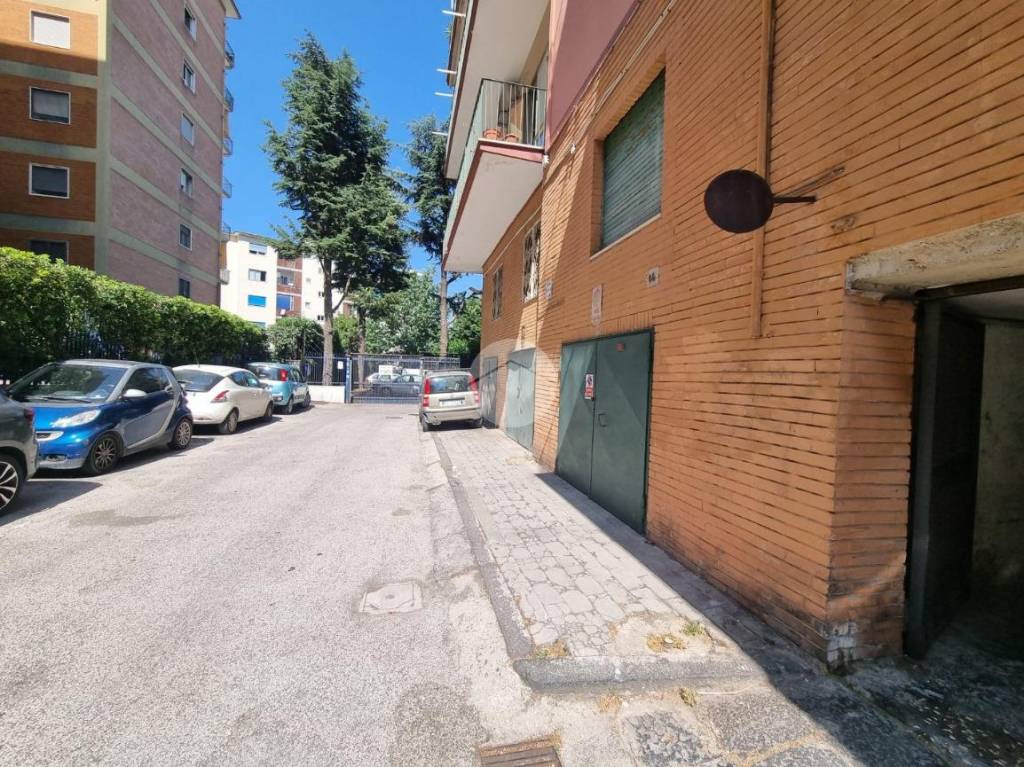 immagine annuncio 2 di 12