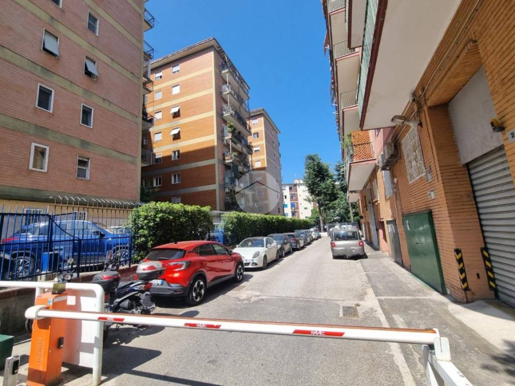 immagine annuncio 10 di 12