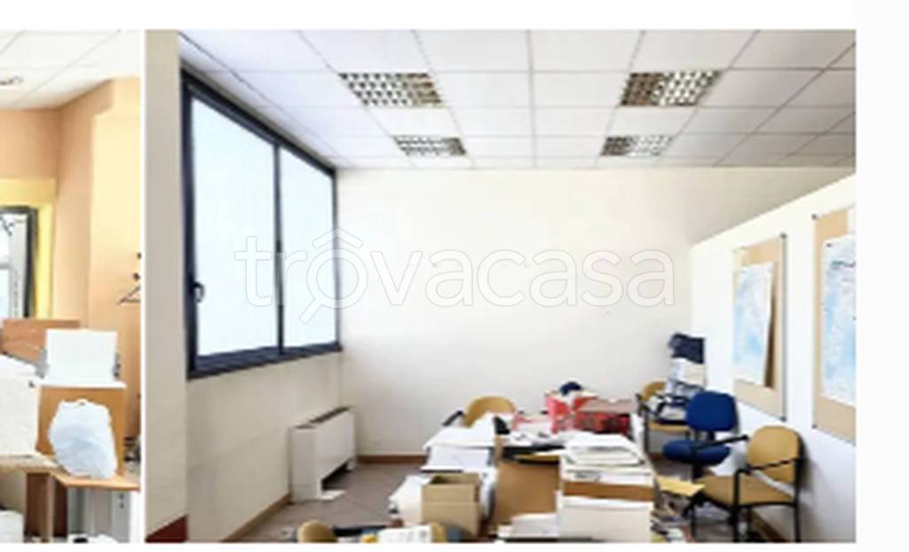 immagine annuncio 11 di 12