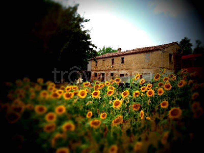 immagine annuncio 7 di 14