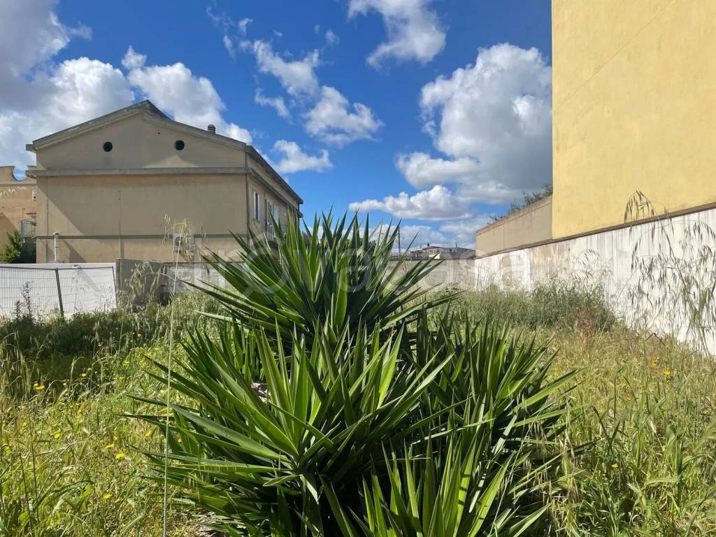 immagine annuncio 1 di 3