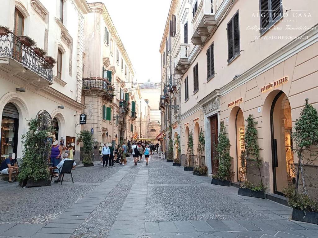 immagine annuncio 12 di 13