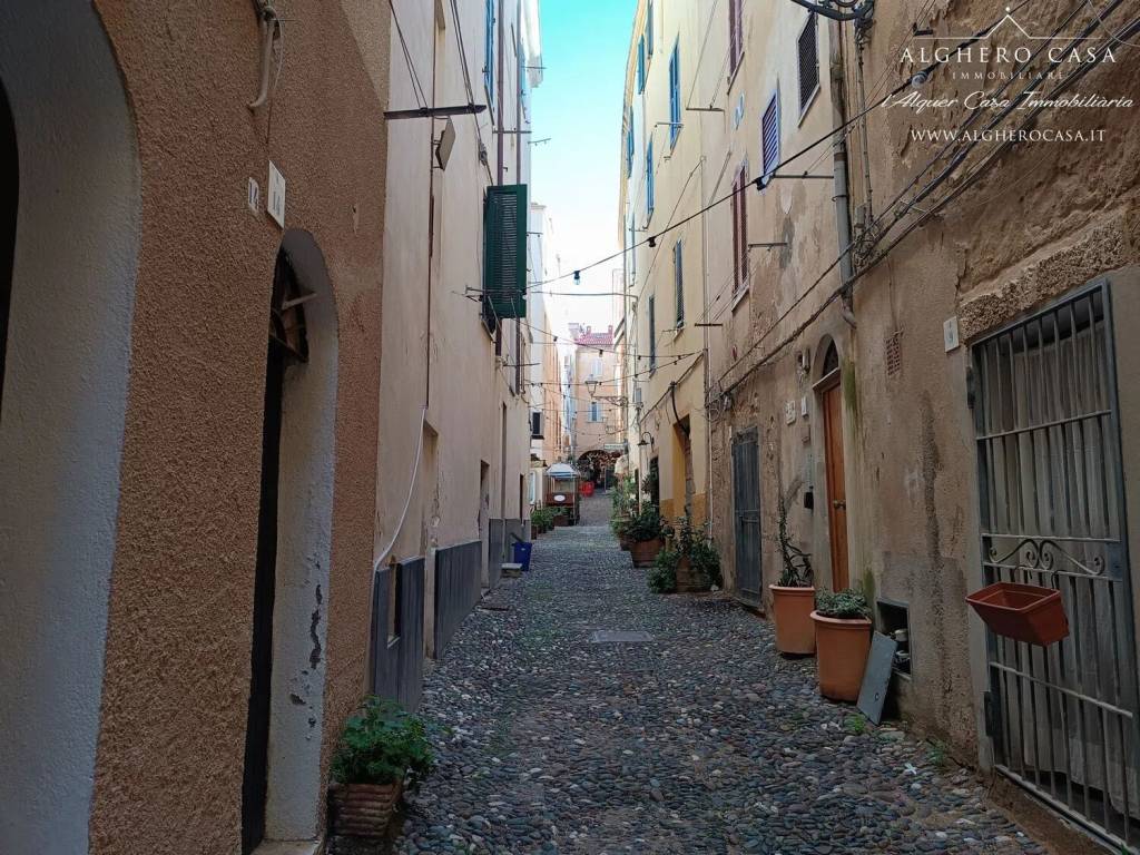immagine annuncio 13 di 14