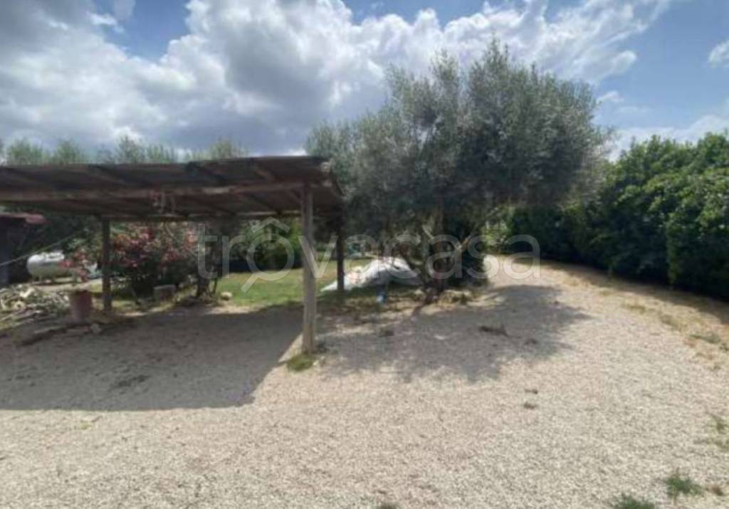 immagine annuncio 6 di 13