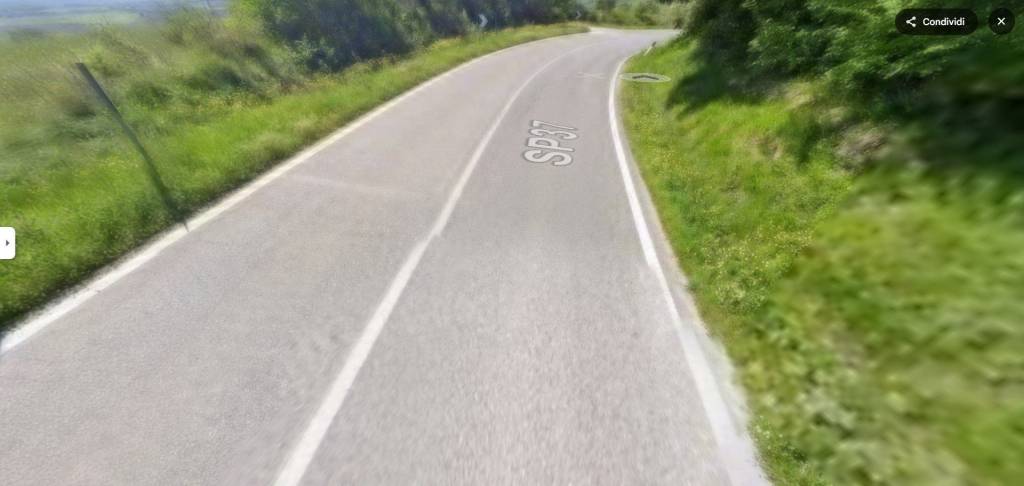 immagine annuncio 3 di 7