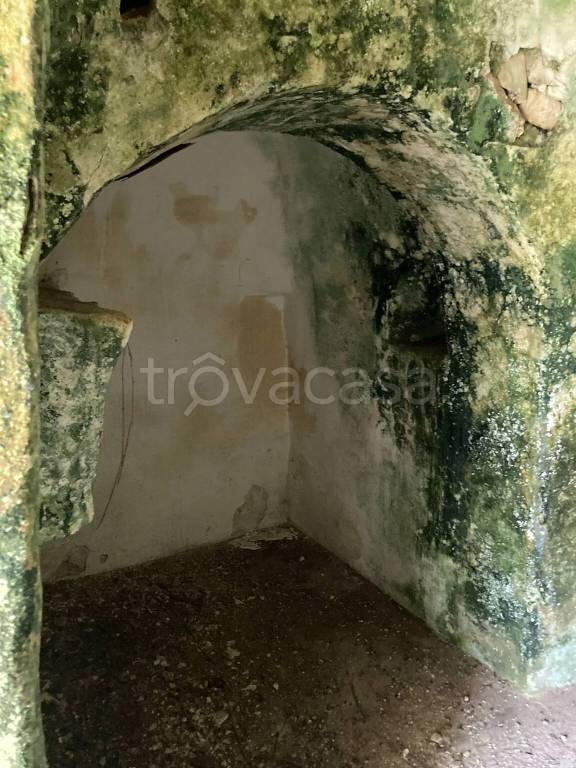 immagine annuncio 4 di 6