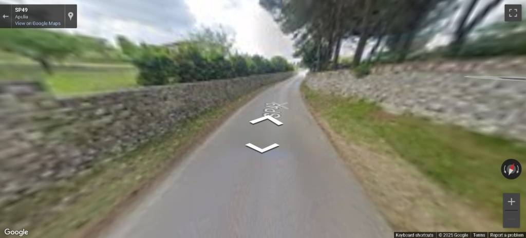 immagine annuncio 2 di 11
