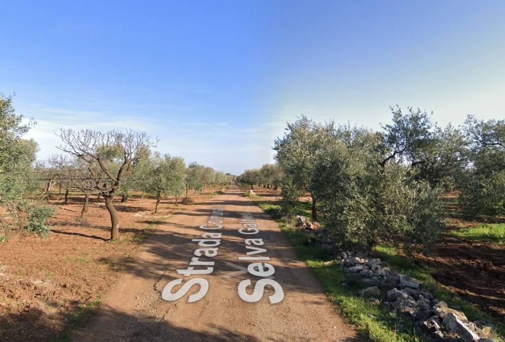 immagine annuncio 5 di 7