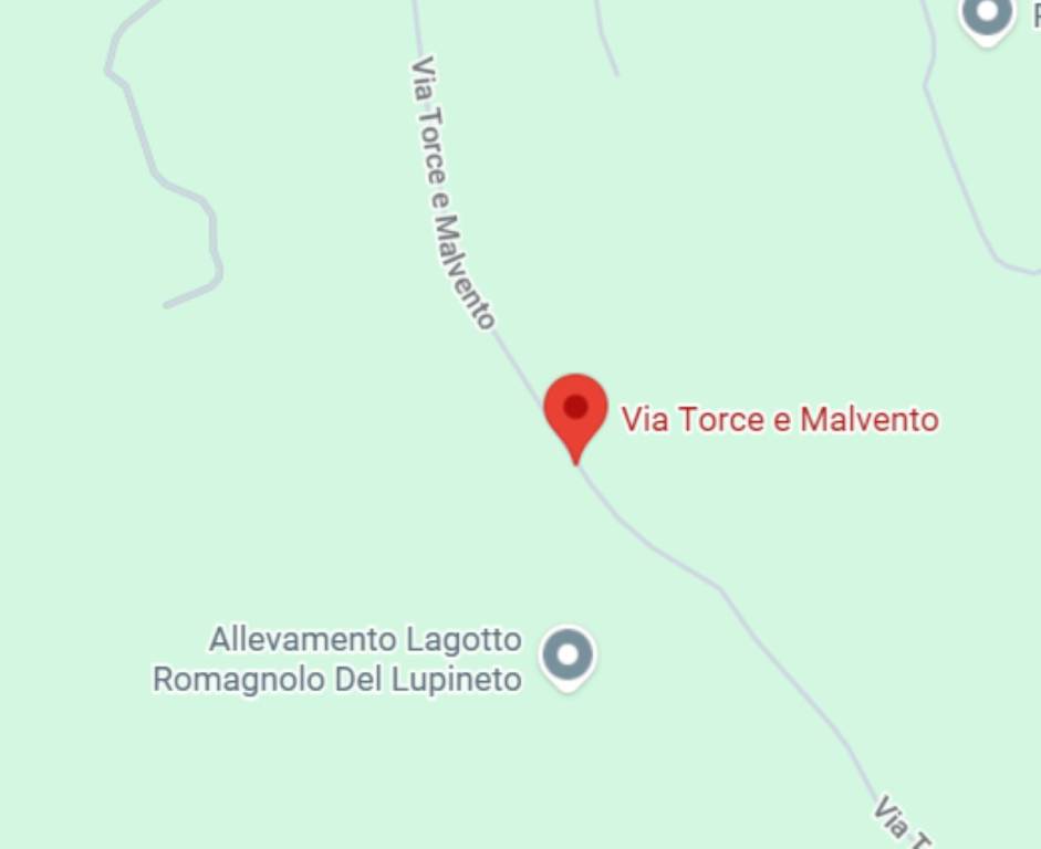 immagine annuncio 2 di 13