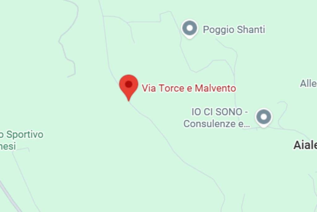immagine annuncio 3 di 13