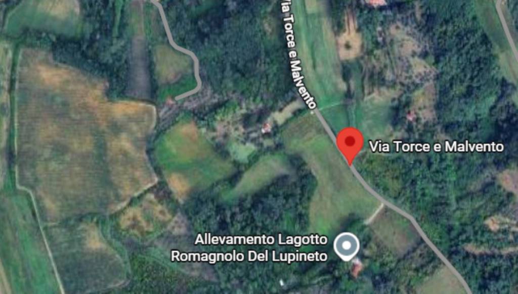 immagine annuncio 6 di 13