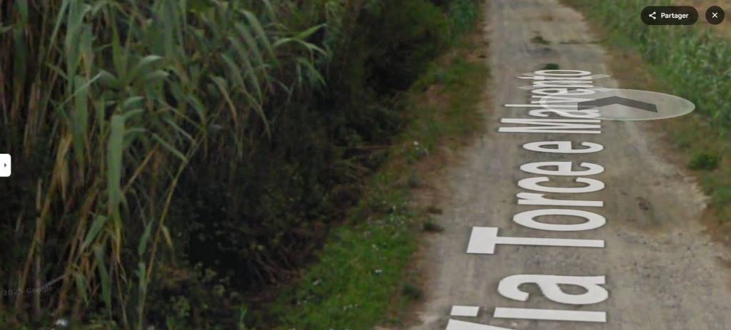 immagine annuncio 9 di 13