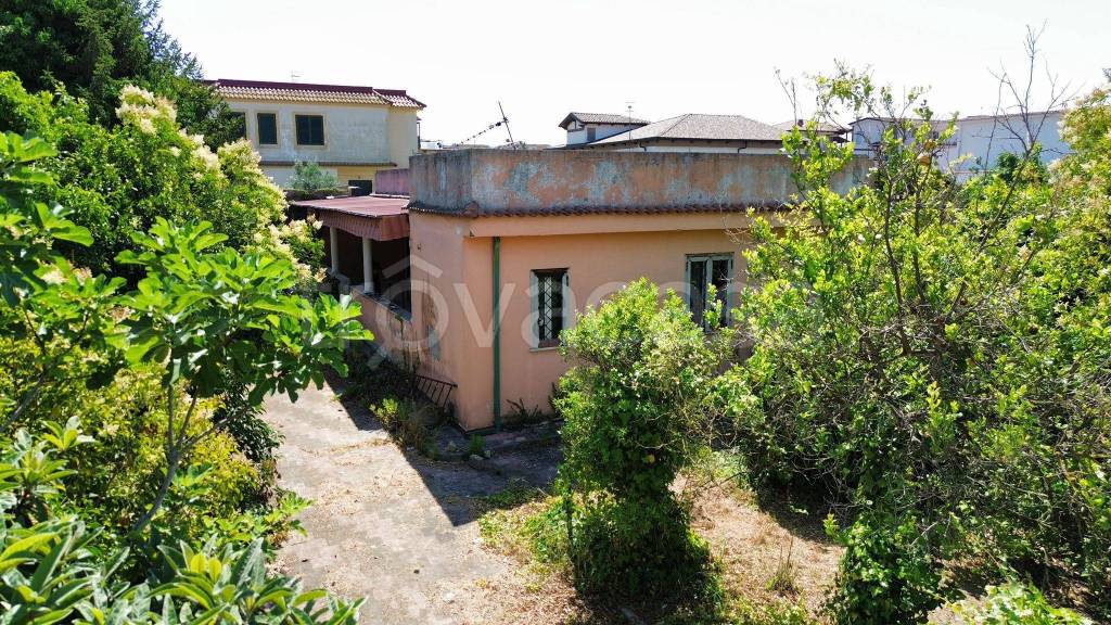 immagine annuncio 3 di 14